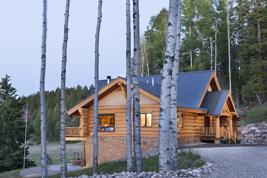 Log home through trees