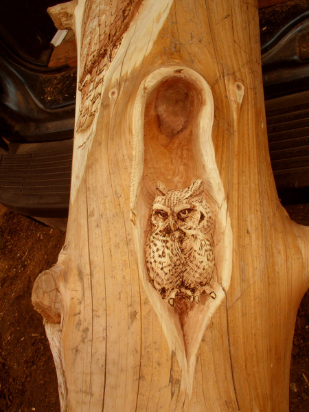 Wood Carvings